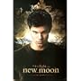 Jacob Black The Twilight Saga: New Moon 24-by-36-Inch Poster Print