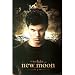Jacob Black The Twilight Saga: New Moon 24-by-36-Inch Poster Print