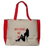 MATH TEACHERS Are Hot Large BELLA TOTEBAG w/ pockets (Choice of Colors)