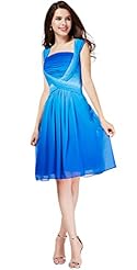 Short Chiffon Homecoming Dress/Pageant Dress/Prom Dress 