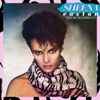 SHEENA EASTON - Todo Me Recuerda A Ti - Zortam Music