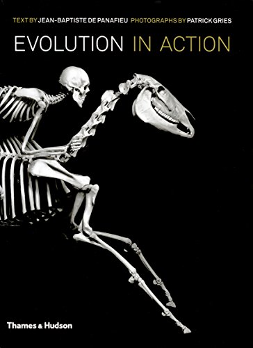 Evolution in Action: Natural History Through Spectacular Skeletons. Jean-Baptiste de Panafieu and Patrick Gries, by Jean-Baptiste De Panaf