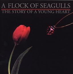A Flock Of Seagulls Foto 3