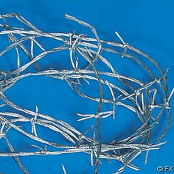 SILVER NYLON BARB WIRE - WESTERN COWBOY PARTY DECOR PROP - 18 Ft LONG