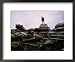 A Man Stands Atop a Pile of Crushed Cars at a Salvage Yard National Geographic Collection Framed Art Poster Print by Joel Sartore, 22x18