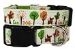 Designer Dog Collar - Eco Dog Buckle Collar - White/Green - Small - Made in USA