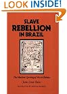 Slave Rebellion in Brazil: The Muslim Uprising of 1835 in Bahia (Johns Hopkins Studies in Atlantic History and Culture)