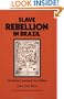 Slave Rebellion in Brazil: The Muslim Uprising of 1835 in Bahia (Johns Hopkins Studies in Atlantic History and Culture)