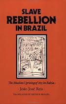 Slave Rebellion in Brazil: The Muslim Uprising of 1835 in Bahia (Johns Hopkins Studies in Atlantic History and Culture)
