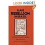 Slave Rebellion in Brazil: The Muslim Uprising of 1835 in Bahia (Johns Hopkins Studies in Atlantic History and Culture)