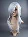 Dream2reality Cosplay Prop Inuyasha_Hakutoushi_Silvery wig