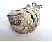 Shark Candle Holder Ceramic Unique Beach / Ocean Decor