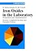 Book Iron Oxides in the Laboratory: Preparation and Characterization