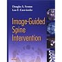 Image-Guided Spine Intervention