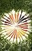 "RAINBOW BLEND" CARROT~Seeds!300+ Seeds Pretty & Healthy!!