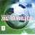 Fever Pitch: Official 2002 Fifa World Cup