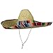 Jacobson Hat Company Mexican Sombrero Hat Adult Costume Spanish Fiesta Cinco de Mayo Festive Salsa,Multi-color,One Size