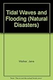 Tidal waves and flooding