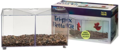 Lee’s Triplex Betta Kit Reviews
