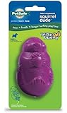 PetSafe Busy Buddy Squirrel Dude Dog Toy, Small