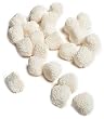 Jelly Belly Champagne Bubble Candies, 10-Pound Bag