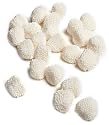 Jelly Belly Champagne Bubble Candies, 10-Pound Bag