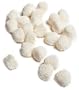 Jelly Belly Champagne Bubble Candies, 10-Pound Bag