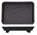 Bonsaï humidité/Pot en Plastique Bac - 12 cm x 8 cm (livraison incluse)
