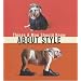 Things a Man Should Know About Style