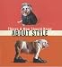 Things a Man Should Know About Style