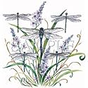 Dragonfly Lace Adult T-Shirt