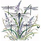 Dragonfly Lace Adult T-Shirt
