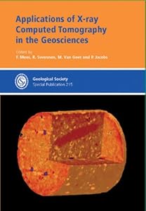 Applications of X-ray Computed Tomography in the Geosciences