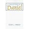 Best Commentaries on Daniel