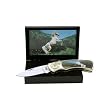 White Horse Pocket Knife in Box