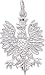 Jewelry : Phoenix Charm by Rembrandt Charms