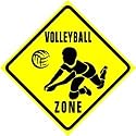 VOLLEYBALL ZONE CROSSING game novelty sign