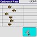 Cockroach Race downloadable Software