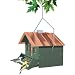 Perky Pet 339 Squirrel Be Gone II Feeder Home with Chimney