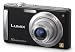 .Bundle: Panasonic FS5 10MP Digital Camera Zoom+ Hard Case + 2GB SD