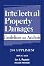 Book Intellectual Property Damages: Guidelines and Analysis, 2004 Supplement