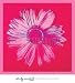 (36x40) Andy Warhol Daisy 1982 Crimson and Pink Art Print Poster