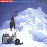 Heavenly Pop Hits: The Best of the Chills by The Chills