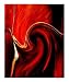 Luscious Red Emerging Artists Photographic Poster Print by Ruth Palmer 2, 20x24