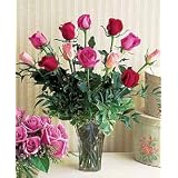 Rainbow of Roses