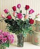 Rainbow of Roses