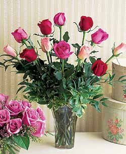 Rainbow of Roses
