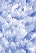 Clouds Window Film 24-by-36-Inch