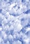 Clouds Window Film 24-by-36-Inch