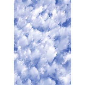 Clouds Window Film 24-by-36-Inch by Artscape